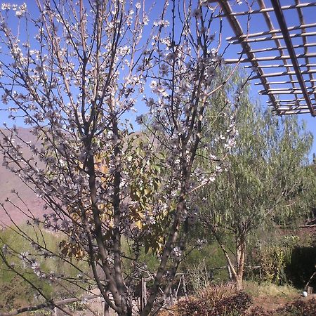Auberge Tigmmi N'Tamazirte Ijjoukak Exterior foto